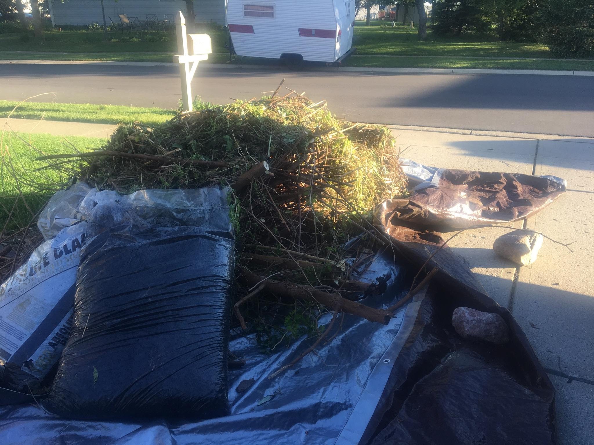 Looking for Yard Waste Removal Near You? » ABC Junk Removal & Hauling