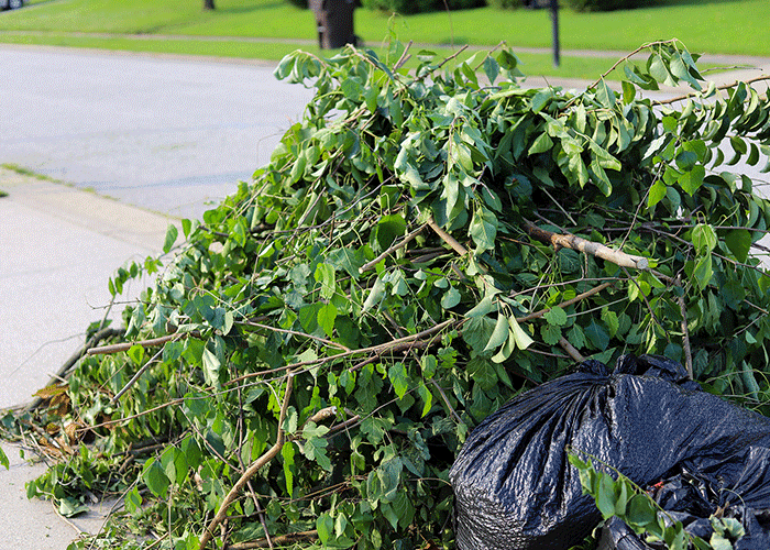 Lawn Waste Removal Service Brownsburg IN