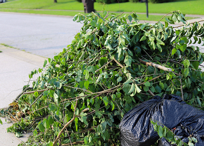 Carmel IN Yard Waste Removal